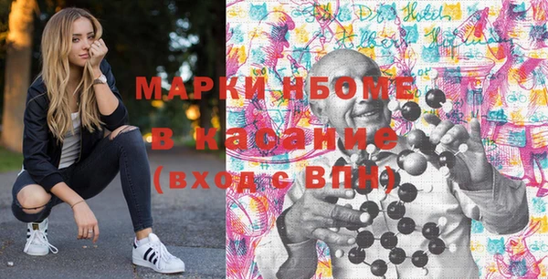 амф Снежногорск